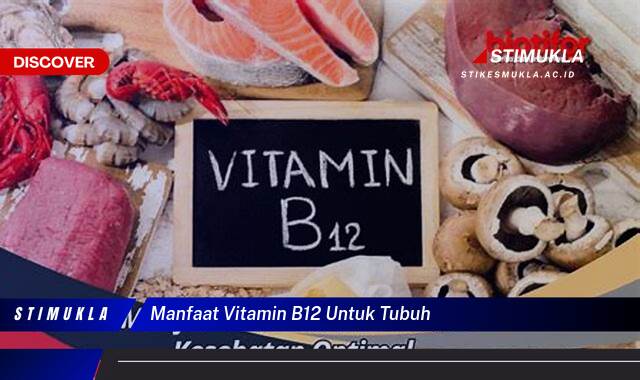 Ketahui 9 Manfaat Vitamin B12 untuk Tubuh dan Cara Memenuhi Kebutuhannya