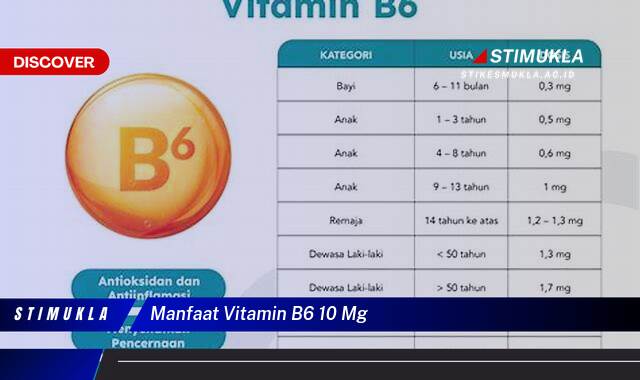 Ketahui 8 Manfaat Vitamin B6 10 mg untuk Kesehatan Tubuh Anda