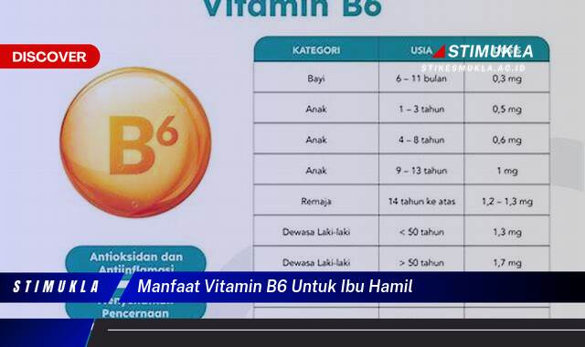 Ketahui 10 Manfaat Vitamin B6 untuk Ibu Hamil dan Janin, Dosis, Sumber, & Efek Samping