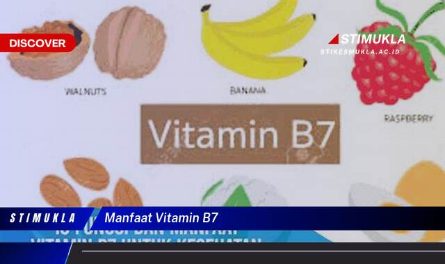 Ketahui 9 Manfaat Vitamin B7 untuk Kulit, Rambut dan Kesehatan Ketahui 9 Manfaat Vitamin B7 untuk Kulit, Rambut dan Kesehatan