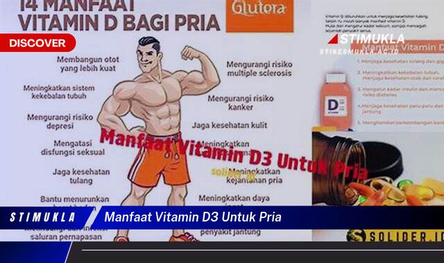 Ketahui 8 Manfaat Vitamin D3 untuk Pria, Kunci Kesehatan Prima dan Performa Optimal