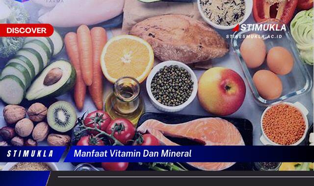 9 Manfaat Vitamin dan Mineral untuk Tubuh yang Lebih Sehat dan Berenergi 9 Manfaat Vitamin dan Mineral untuk Tubuh yang Lebih Sehat dan Berenergi