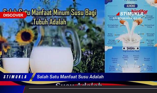 Ketahui 8 Manfaat Susu, Dari Meningkatkan Kesehatan Tulang Hingga Menjaga Kekebalan Tubuh Ketahui 8 Manfaat Susu, Dari Meningkatkan Kesehatan Tulang Hingga Menjaga Kekebalan Tubuh